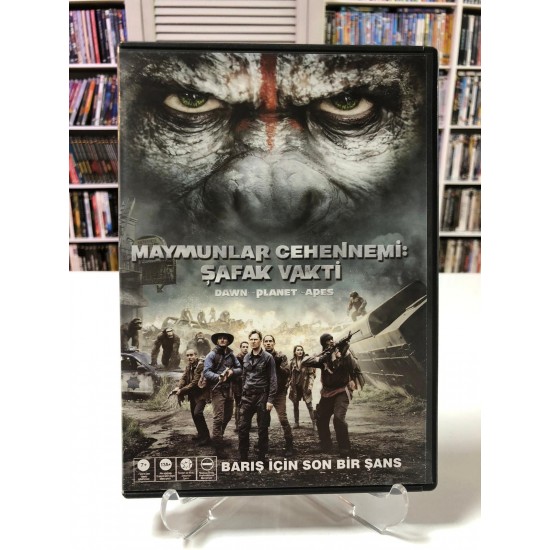 MAYMUNLAR CEHENNEMİ ŞAFAK VAKTİ DVD